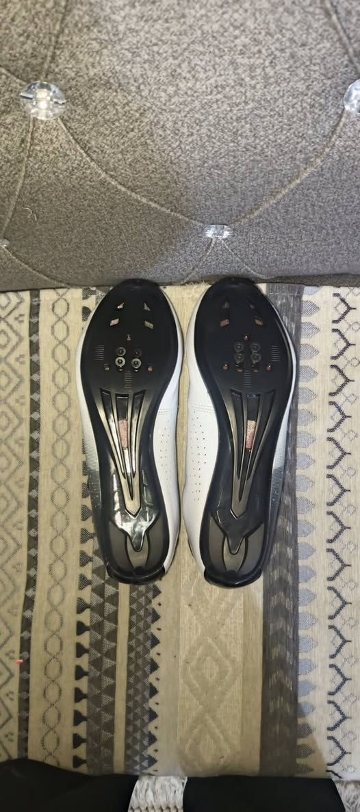 غراض بايك للبيع جديد غير مستخدم
الحذاء بايك لوكات جديد قياس  44 يلبس 43 السعر 15
بطيخه خلفيه من ماركه PRO4 سبع الوان  مع البيم مالته  36 سيم طرب السعر 15 للتواصل على الواتساب : ***********
