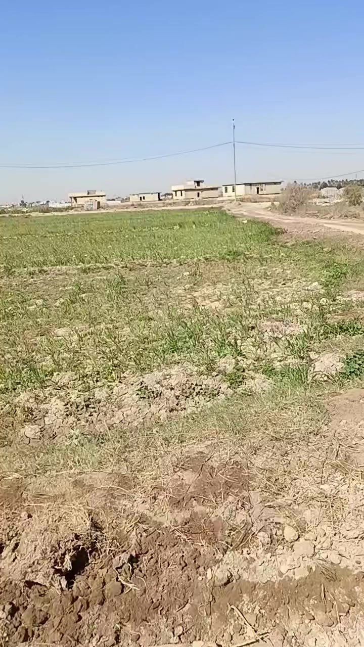 متوفر 3دونم بطوريج الخير ات منطقة الجراح 
تحويل مباشر بسم المشتري الاستفسار أكثر ***********
