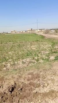 طوريج الخير • منطقة الجراح • ٣ دونم