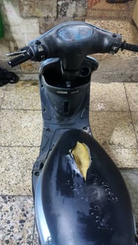 ماكس منغولي دراجه فقط ترايش تجاري ول باقي علا بلادي مكنيه خرسه معدل كه...