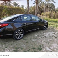 سوناته • ٢٠١٥ • وارد كندي