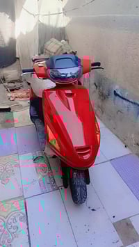 فراشه • نظيفه • شغاله