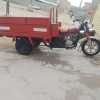 ستوته • ٢٠١٣ • اوراقي