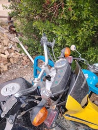 قفاز صيني تفصيخ للبيع أوراق 07805901791