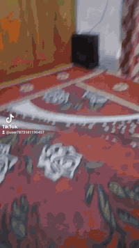 السلام عليكم عندي هذا البيت للبيع جكوك حسينيه قمر بني هاشم قرب مدرسه علي الاكبر  البيت بي غرفه واستقبال ومطبخ وصحيات وترك للاستفسار مراسله الصفحه او ع الواتساب ***********
