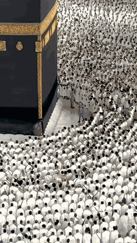 🌙 عمرة شهر رمضان المبارك 🌙
عِش أجواء رمضان الإيمانية قرب بيت الله الحرام مع برامج متنوعة تناسب الجميع ✨
🔹 برنامج محبس الجن – فندق الجنادرية
• 🚌 برًّا: 1400$
• ✈️ طيران: 1900$
• ⏱️ يبعد 5 دقائق فقط عن الحرم
🔹 برنامج محبس الجن – (خيار اقتصادي)
• 🚌 برًّا: 1100$
• ✈️ طيران: 1500$
• 🕌 يومان في المدينة المنورة
🔹 برنامج أجياد السدة – قرب القصور الملكية
• 🚌 برًّا: 1600$
• ✈️ طيران: 1900$
• 🚶‍♂️ مشي على الأقدام إلى الحرم
🔹 برنامج أجياد المصافي – فندق نيسان المقام
• 📍 يبعد 200 متر داخل ساحة الحرم
• 🚌 برًّا: 2300$
• ✈️ طيران: 2900$
• 🕋 بجانب برج الساعة مباشرة
📅 البرامج متوفرة طوال شهر رمضان كامل
💫 خدمة مميزة – مواقع قريبة – راحة وطمأنينة
📞 للحجز والاستفسار تواصل معنا الآن
⚠️ المقاعد محدودة – بادر بالحجز ***********-***********
#عمرة #العمرة #عمرة_مقبولة #عمرة_مباركة #اعتمرنا #زيارة_بيت_الله #بيت_الله_الحرام #الحرم_المكي #مكة #مكة_المكرمة #المدينة_المنورة #المسجد_النبوي #لبيك_اللهم_عمرة #لبيك_اللهم_لبيك #اللهم_تقبل #يا_رب #دعاء #راحة_نفسية #طمأنينة #سكينة #روحانية #توبة #قرب_من_الله #رحلات_عمرة #حملات_عمرة #عروض_عمرة #سفر_وسياحة #سياحة_دينية #رحلة_عمر #عمرة_رمضان
