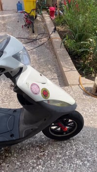 ماكس عدله • مكفوله • ام عصافير