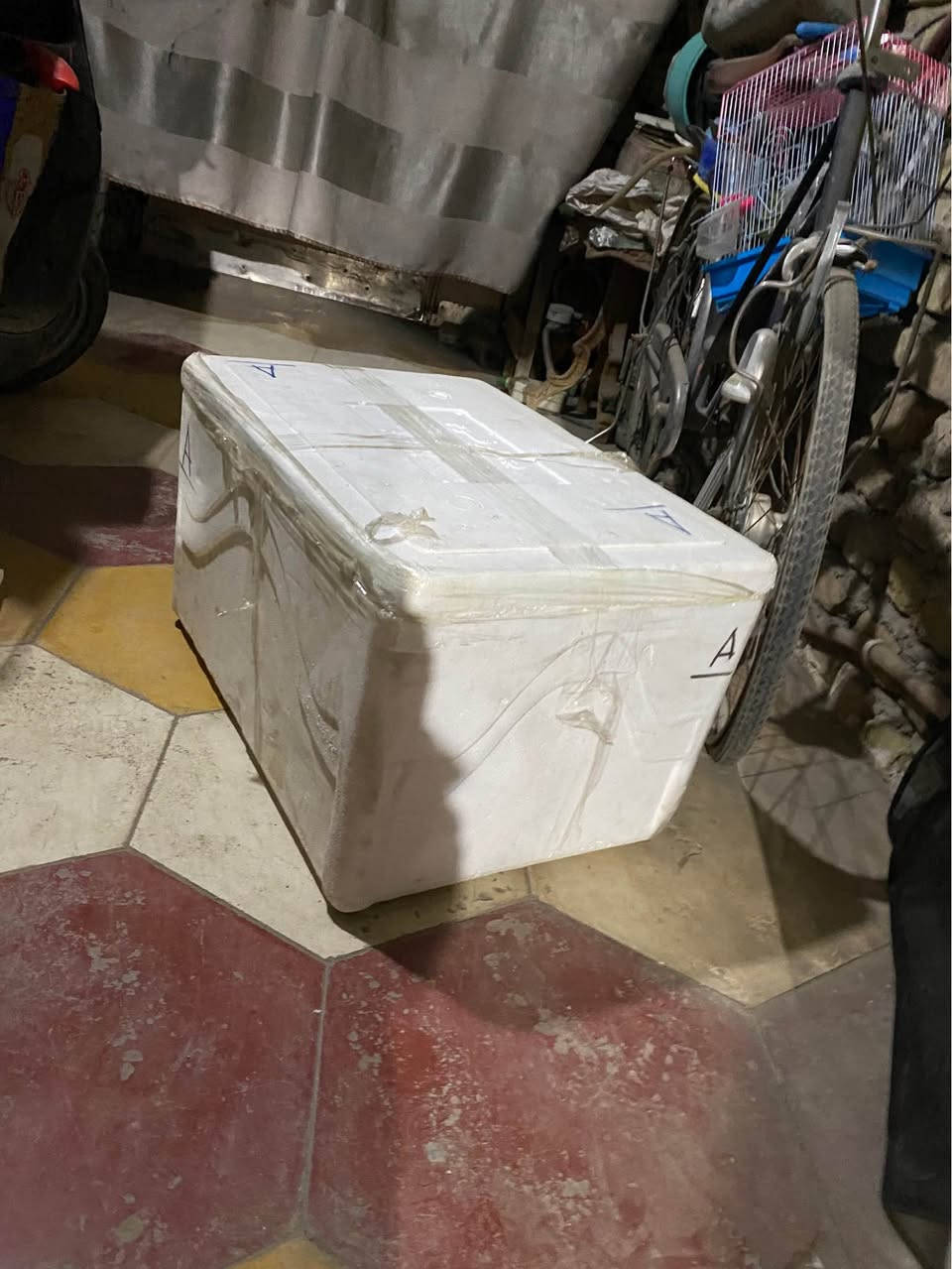 ‎غراض لبيع‎ كربلاء, العراق


**إذا كنت صاحب هذا الإعلان وتريد حذفه لأي سبب، رجاءا أرسل رسالة إلى الدعم الفني**