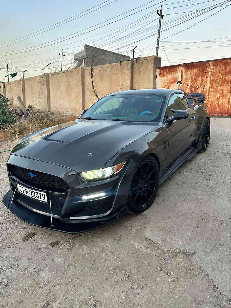 السلام عليكم 
ترهم مراوس ويه جارجر او جالنجر او اوباما مو مهم الصبغ
ارخص GT بالعراق
موستانغ GT محرك 5.0 كايوتي 8
موديل 17 بريميوم فول مواصفات للأخير 
صبغ حزام
مودات قياده 4 مودات
شاشة كبيرة  
دمامات شيگر وبالصندوق هم كذلك شيگر
مودات ستيرن 3
كشنات كهرباء
ميموري خزن كشن ٣ وضعيات
سماعات شيگر
دكتات تبريد مارسيدس
تبريد كشنات 
تدفئة كشنات 
حساسات مري مع الاشاير
تشغيل عن بعد 
دشبوك متغير ألوان على تطبيق الهاتف
لدات خارجيه متغيره على الريموت
دواخل كاربون فايبر 
درگة D كاربون فايبر 
غطاء مري باتمان كاربون فايبر 
ويل هنسي
سبايدرات ودوسات جنح
بوري وحلوك كورسا
وسطيات يم علي الوادي 
دبات فلو ماستر صوت رعب تحكم بوابات
مكينة بلاد ما مفتوح بغداد, العراق


**إذا كنت صاحب هذا الإعلان وتريد حذفه لأي سبب، رجاءا أرسل رسالة إلى الدعم الفني**