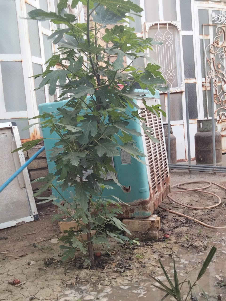 اغرض للبيع


**إذا كنت صاحب هذا الإعلان وتريد حذفه لأي سبب، رجاءا أرسل رسالة إلى الدعم الفني**