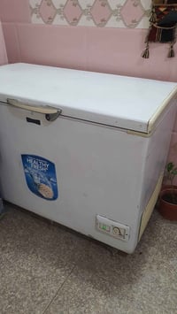 مجمدة • بلادية • بدون تصليح