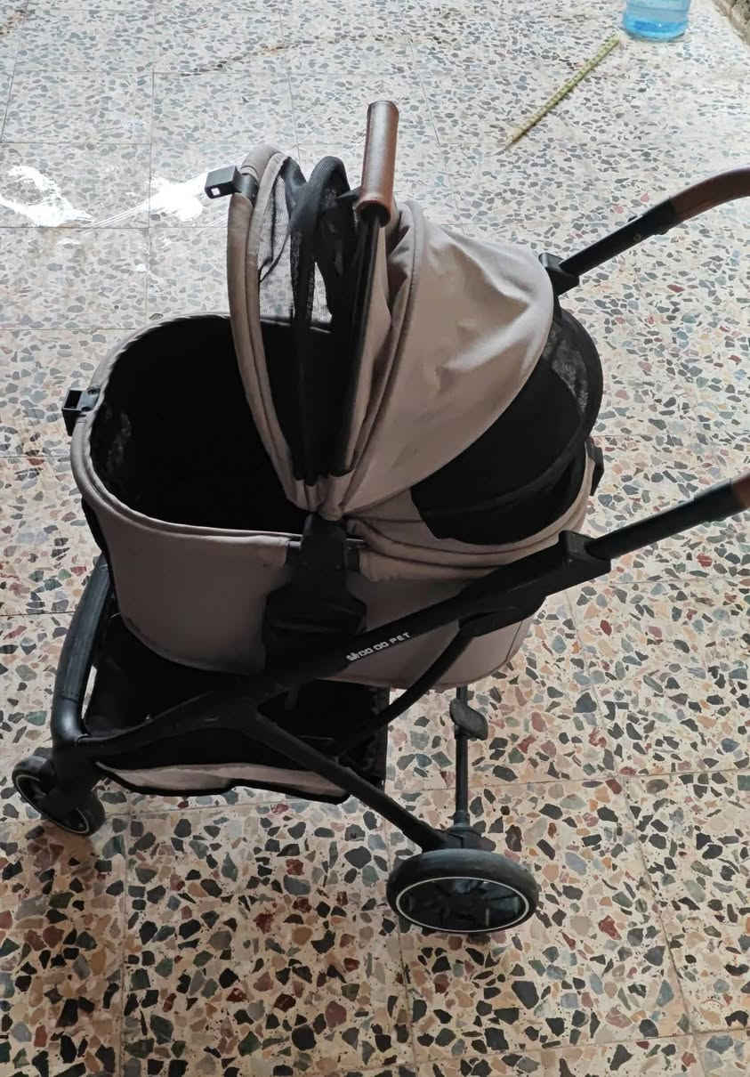 عربانه كلش نظيفه وجديده مستعمله قليل كلش عنوان كربلاء توصيل ماكو سعر 55وبي مجال


**إذا كنت صاحب هذا الإعلان وتريد حذفه لأي سبب، رجاءا أرسل رسالة إلى الدعم الفني**