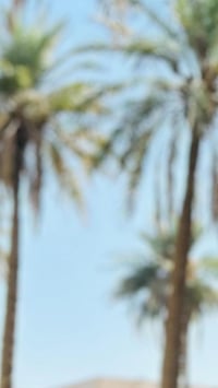 دار للبيع مساحه ٥٠ متر ركن مسلح  يحتوي على طابقين وسطح  الطابق الاول ا...