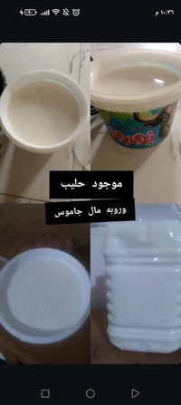 الخضر • حليب • زبد