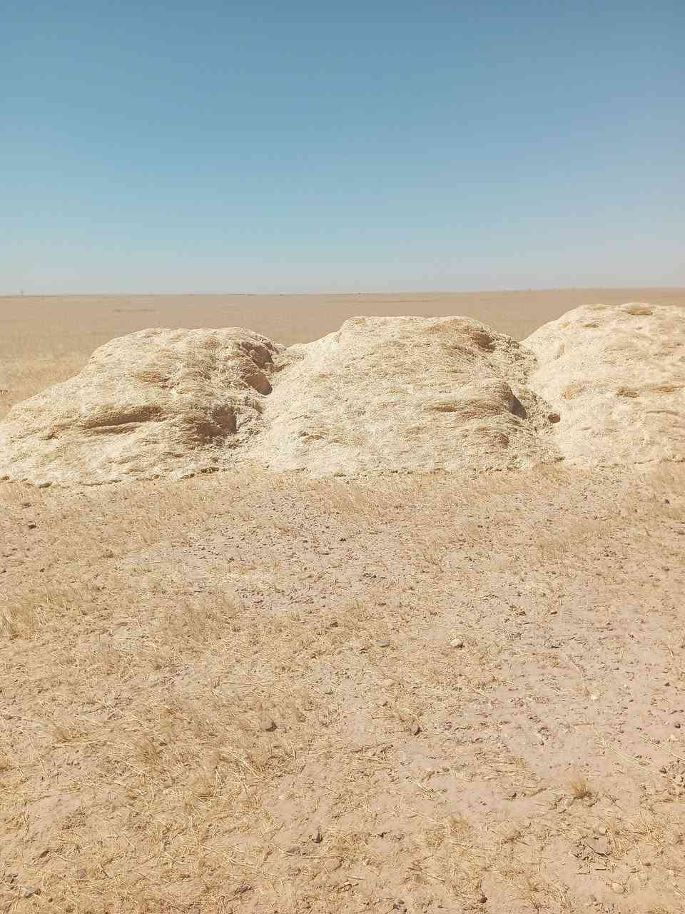 سلام عليكم يوجد تبن للبيع راس كوم مكان صلاح الدين الحجاج سعر العربانه 100وبيهامجال تصال***********

