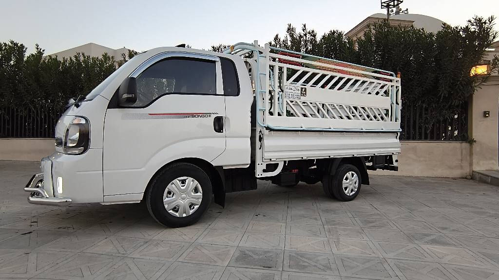 سه یاره که فول مواسفاته بیلادی غازه 
بی لیدرانه شوختی نیه 20 هه زار رۆشتوه 
هه موو شتیکی جائیزه 
ژم ***********
تکایه گرموشته ری نی  ته له فۆن مه که أربيل, العراق
