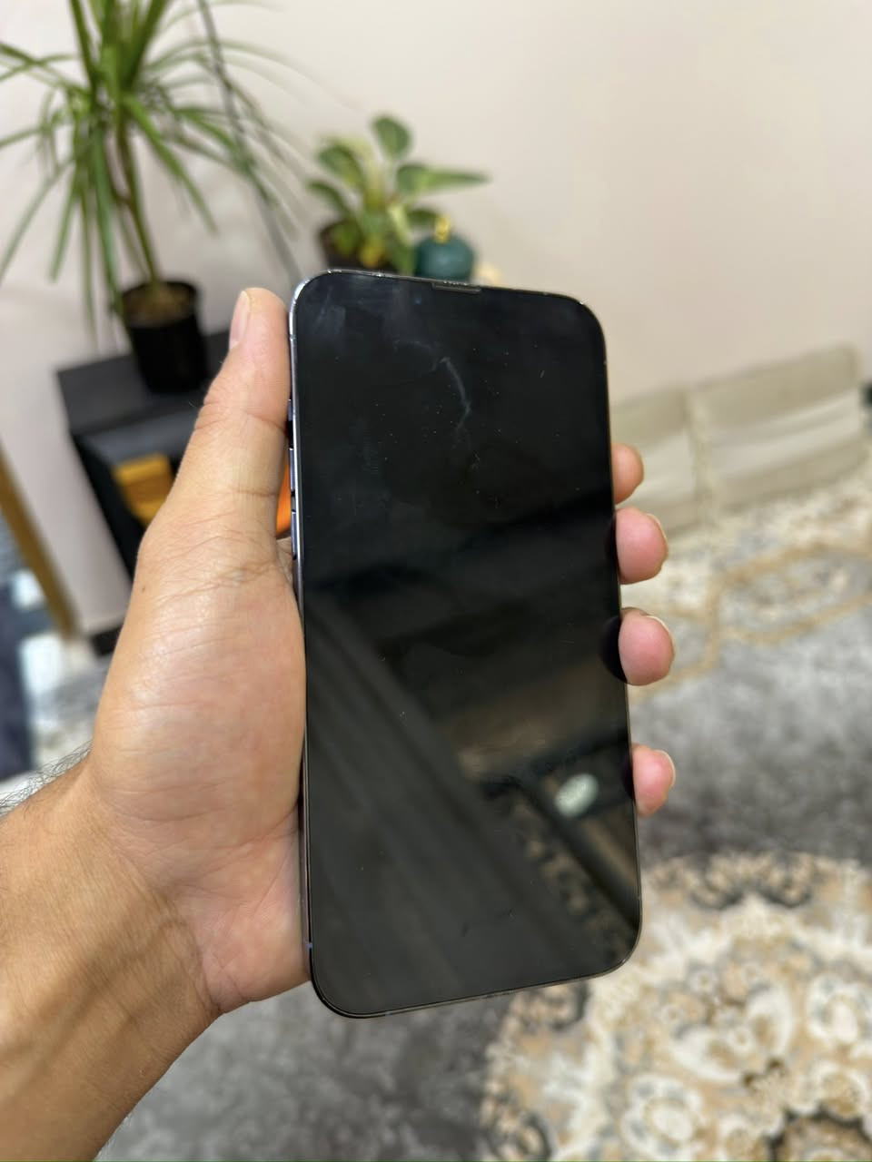 13 برو ماكس 
بطارية 79 
ذاكرة 256 
شرق اوسط نموذج m
وتر بروف كفالة 
كارتونة ضايعة 
الجهاز على ايدي من الكارتونة طكيته 
سعرة 560 الف قفل


**إذا كنت صاحب هذا الإعلان وتريد حذفه لأي سبب، رجاءا أرسل رسالة إلى الدعم الفني**