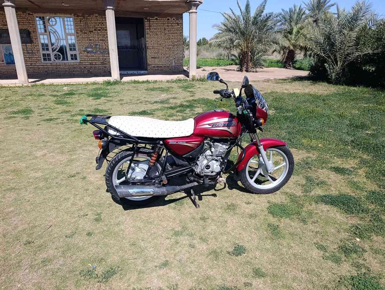 السلام عليكم ورحمه الله وبركاته بوكسر للبيع السعر وباقي التفاصيل الاتصال على الرقم ***********
