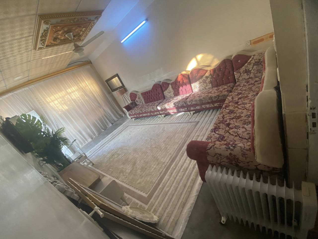 تخم قنفات 7 متر آخو الجديد  السعر 225.  الاتصال ع رقم. ***********
