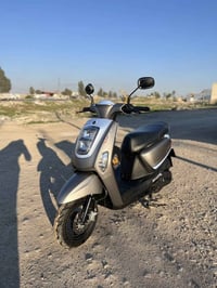 بوليسي • ٢٠٢٤ • مامفتوح