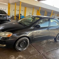 كورله نحله للبيع بسعر مناسب اتصل 078283839693