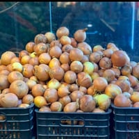 طماطة • خضرة مشكلة • توصيل