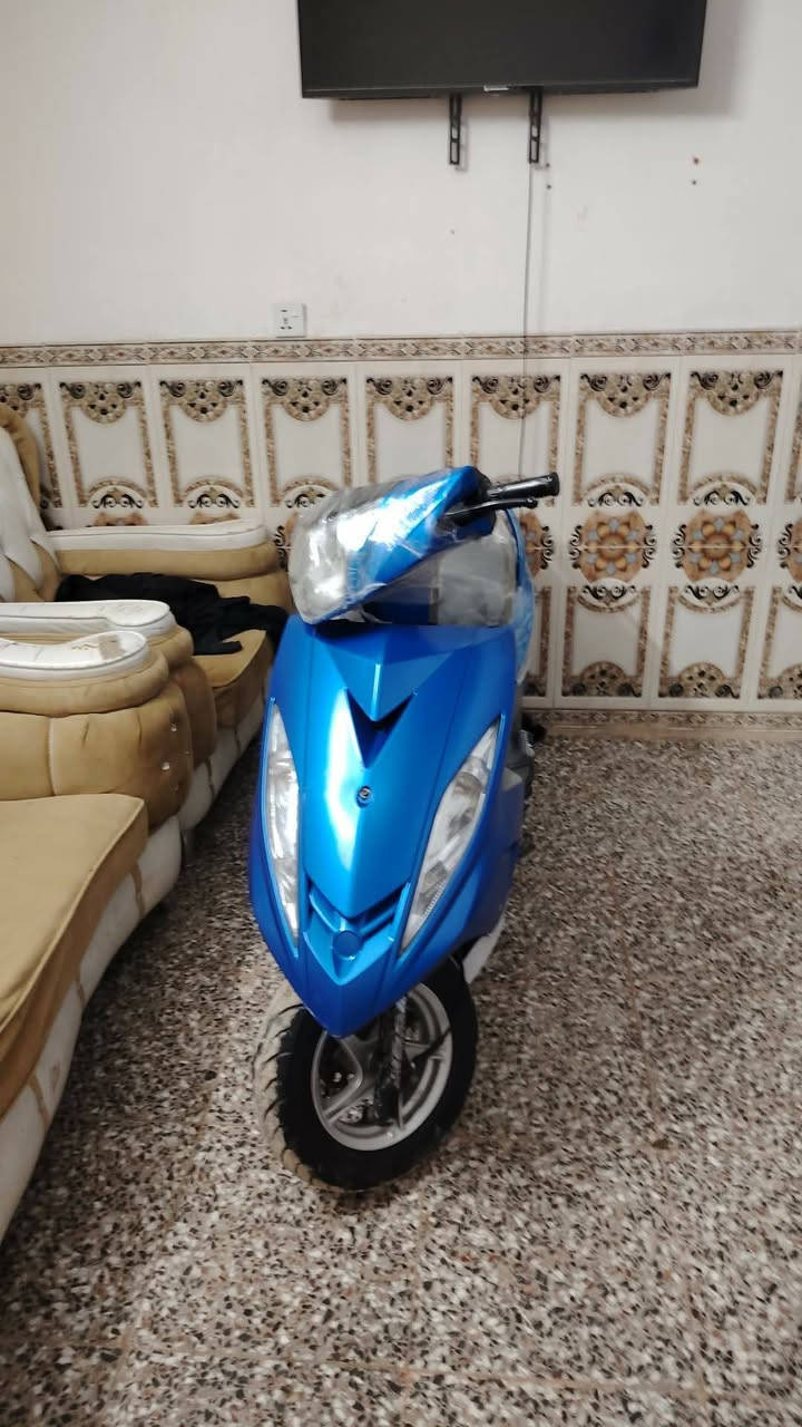 سلام عليكم
تراجه جيتي ار كلشي مابيه تراجه جديد 
مبتل بس كفر المامي تراجه حلوه ***********بغداد النهروان وبي واساب 850 وبيه مجال
