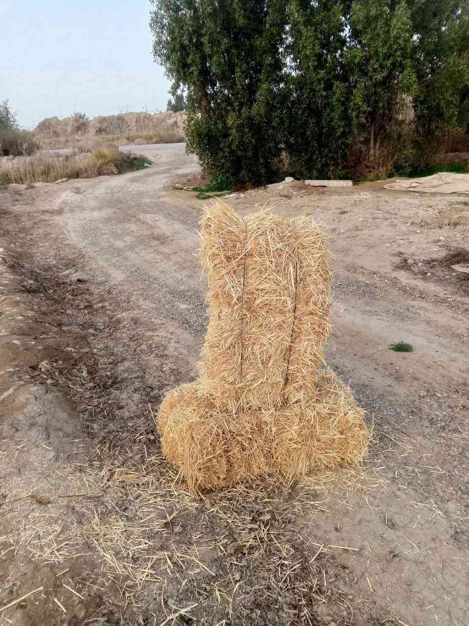 سلام عليكم يوجد الدينه تبن البيع سعر تصال عل رقم ***********
