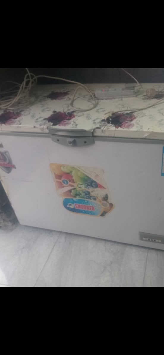 جربي   تسكام فول سعر 110قفل يوجد توصيل تلبيس نضام   طباخه مصر شغل فول نفضت فول بشرط  على فحص تاخذي سعر 100بابل مركز شرطة الفيحاء فرع مقابل يوجد توصيل ***********
