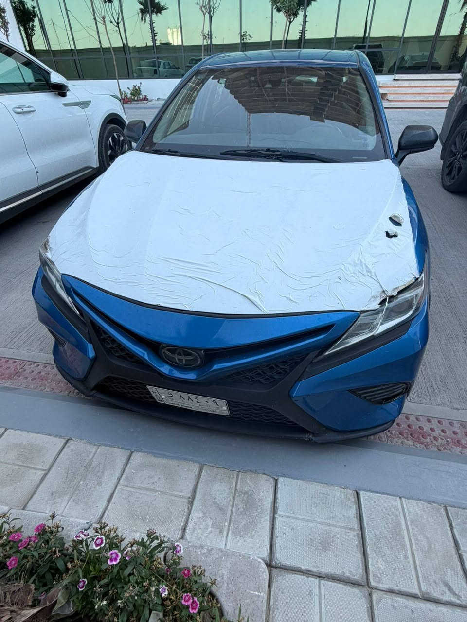 السلام عليكم
اني مكلف بل نشر
كامري
الاتصال ع رقم
السعر 155 بيهه مجال بسيط
***********
