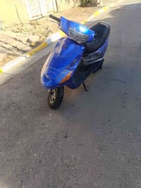 فراشة • نثية • سلف