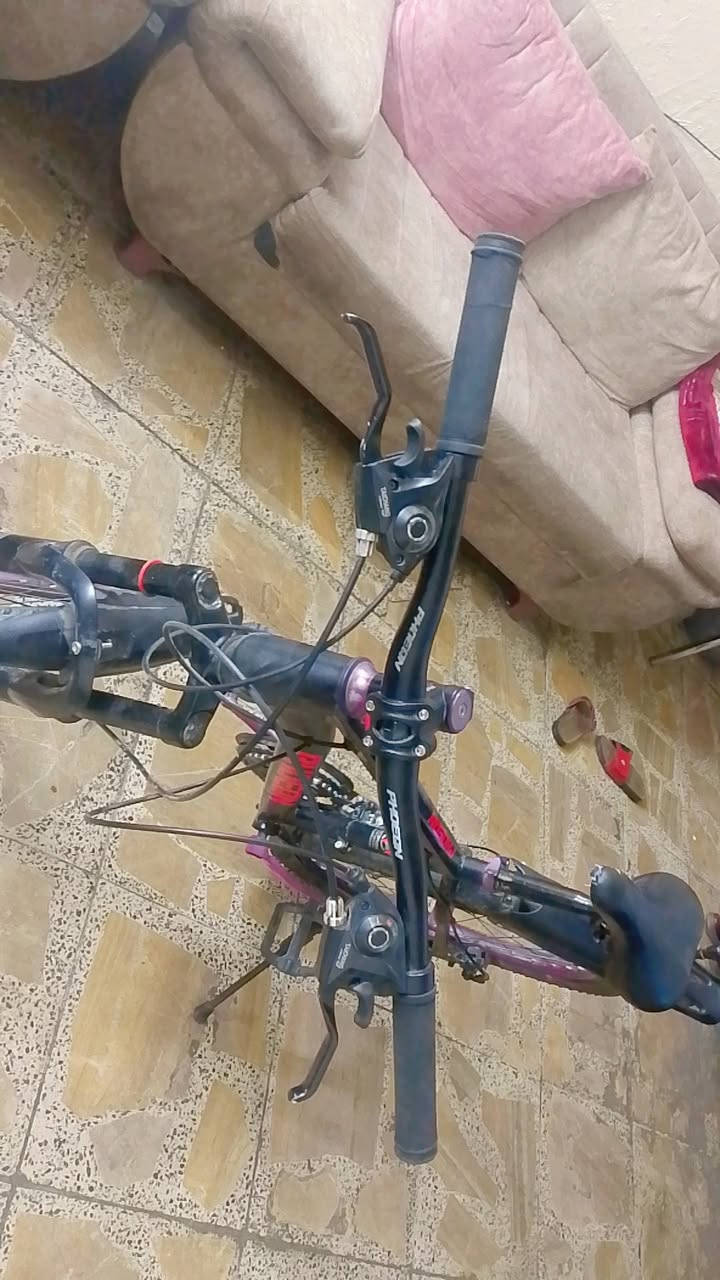 باسكل اخو الجديد للبيع ب150الف
سبب البيعةجبته لبني و طلع جبير عليه


**إذا كنت صاحب هذا الإعلان وتريد حذفه لأي سبب، رجاءا أرسل رسالة إلى الدعم الفني**