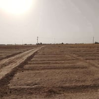قريه الاعيوج • ٦ دونم • طابو ملك صرف