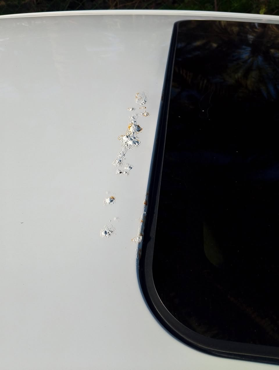 السلام عليكم
ام كراند موديل 13 رقم بابل بسمي 
مكينه 2400 كير مكفول مكينه تنقص بيها صبغ جاملغات امامي ثنينهن 
وبيها خياسات موضحات بالصور 
مكاني بابل 
سعرها 60 وبيها مجال 
***********
