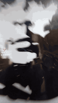 السلام عليكم السلام عليكم دراجه ما مفتوحه ماكس منغولي حربي مكينه ناعمه وحلوه دراجها دراجه نظيفه وحلوه وناعمه السعر مناسب 550 وبيها مجال دراجه نظيفه وهذا الرقم اللي يحب  يتصل على هذا الرقم على الواتساب على الخط عادي***********
