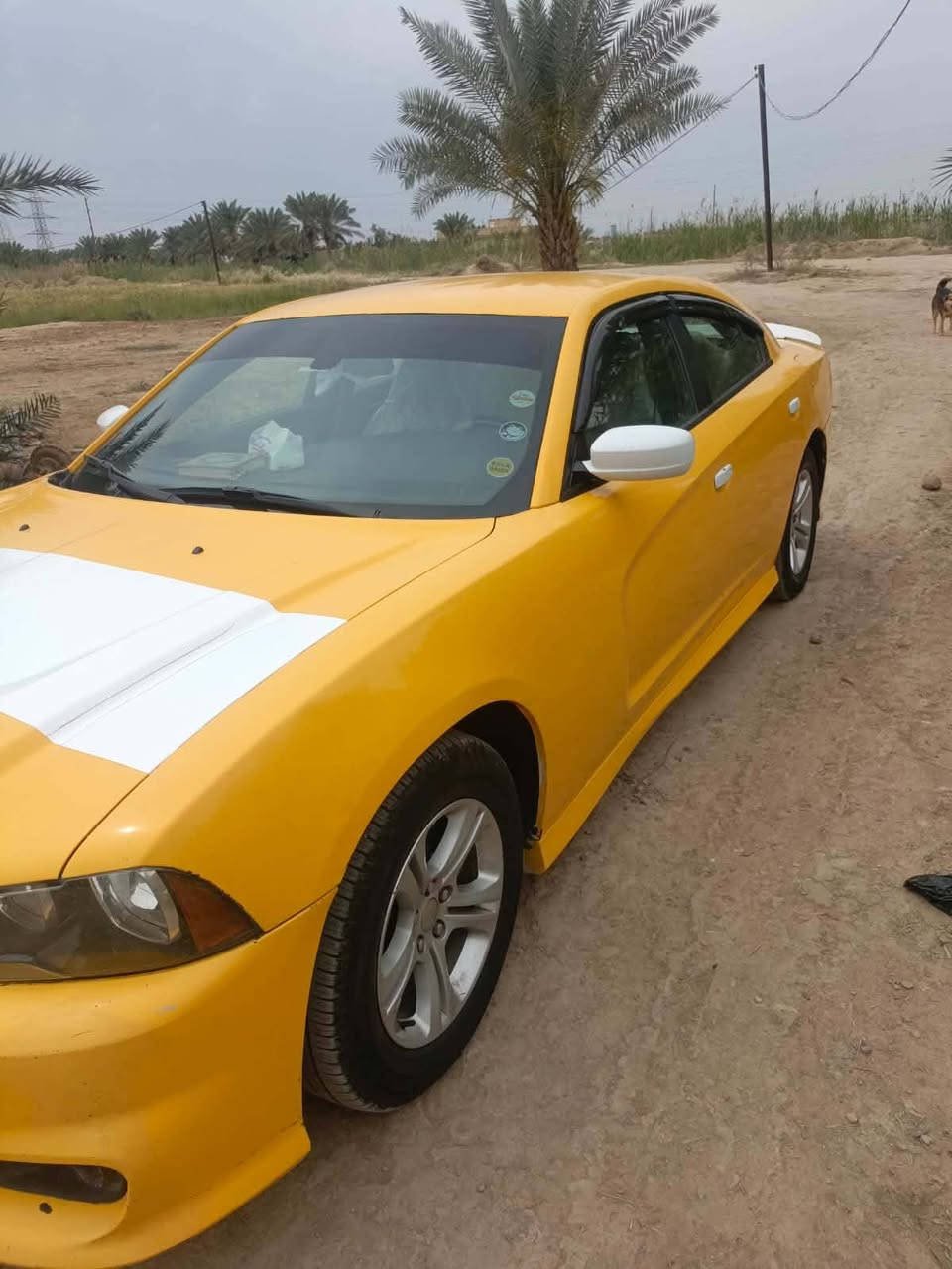 سلام عليكم جارجر البيع 2014 رقم ذي قار سياره جاهزه تخم تاير حداديه جديد مكان قلعه_سكر سعر 148. ***********
