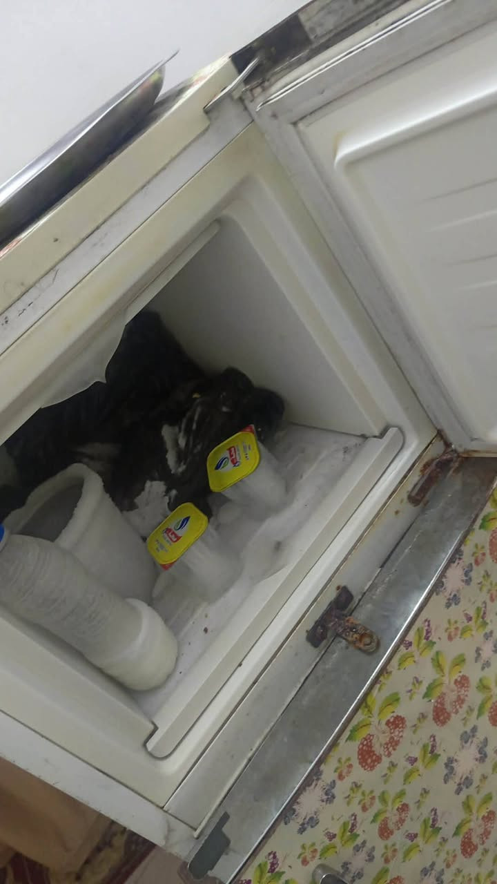 ثلاجه شغاله للبيع سعرها ثمانين وبيها مجال
+ دوشك سعره ستين وبي مجال


**إذا كنت صاحب هذا الإعلان وتريد حذفه لأي سبب، رجاءا أرسل رسالة إلى الدعم الفني**