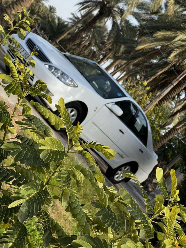 كامري موديل 2004 وارد خليجي كراند فول مواصفات مكفوله من كلشي وجاهزه رقم بغداد دولي باسمي 
السعر125
اي استفسار ‭٠٧٨٠ ٢١١ ٦٥٩٧‬
