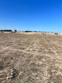 دونمين • الزبير البصرة • شارع النجمي