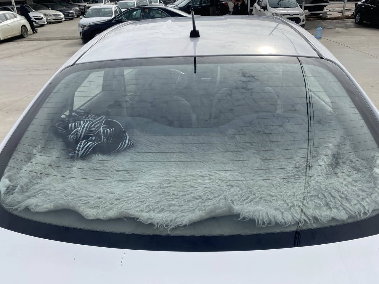 نیسان سەنی لاکشمیبای ئۆتۆماتیک 2018 ڕەقەم سلێمانی دوو پارچە بۆیاخ بێ ناوگرتن و بێ ئێرباگ و تۆزێ ساردی هەیە سەنەوی و ڕەقەمی تازەیە ئاوێنە کارەبای دەبڵ گێچ دەسک نیکل ABC و خليسكان و ناو کرێمی گێڕ و مەکینە و تەبرید و تەحویل و غەرامە و کالە بەشەرت سەیارەکە حازرە و هیچ مەسرەفی تێدا نیە نرخى 94 گەڵا و معامەلە شوێن سلێمانی 
***********
*********** 
کۆڕەک واتساپی هەیە 

نيسان صني هندي موديل 2018 گير اوتوماتيك رقم سليمانيه بيها قطعتين صبغ بدون دواخل و بدون ايرباك و شوية بارد سنوية و رقم جديدة مواصفات مراية كهربائية دبل گيج يدة نيكل ABC انزلاق داخل كريمي گير و مكينه وتبريد وتحويل و الغرامه و كالة بشرط سيارة جاهزة دينار مصرف مابي السعر 94 ورقة ومجال المكان السليمانيه والتصال على هذا الارقام الي مسجله فوك والكورك بي واتساب
