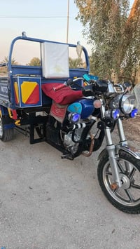 ستوته • مكفول كفالة • أوراق أصولي