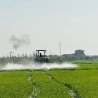 ضخاخ • هولدر 10 • الحويجة