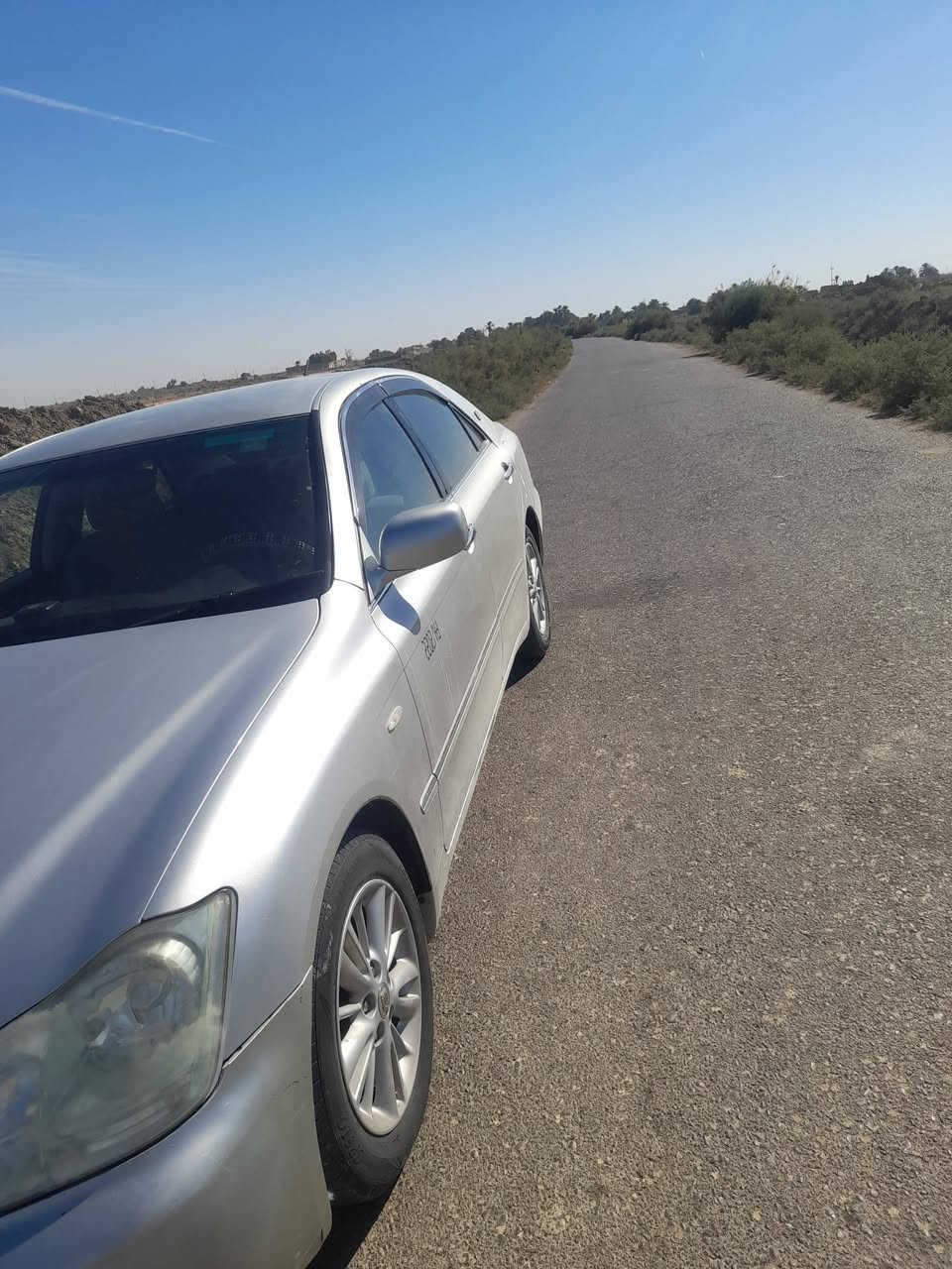 شاهينه للبيع جاهزه سعر 35ناصريه قضاء شطره ***********
