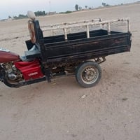 ستوته • شاصي نضيف • كهربايات شغاله