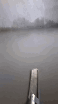 سلام عليكم نجارينه حدادينه ابو بيت هاذه شقلنه اليوم شقل مرتب علا قياسات المطلوبه يلي عنده ارضيه رباط تصليطه صطح حنه بلخدمه  داخل البصره شغل درجه اولى سعر مناسب***********
