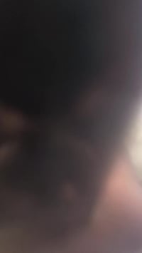 ثعلب نوزل • ختم واحد • بغداد الدوره