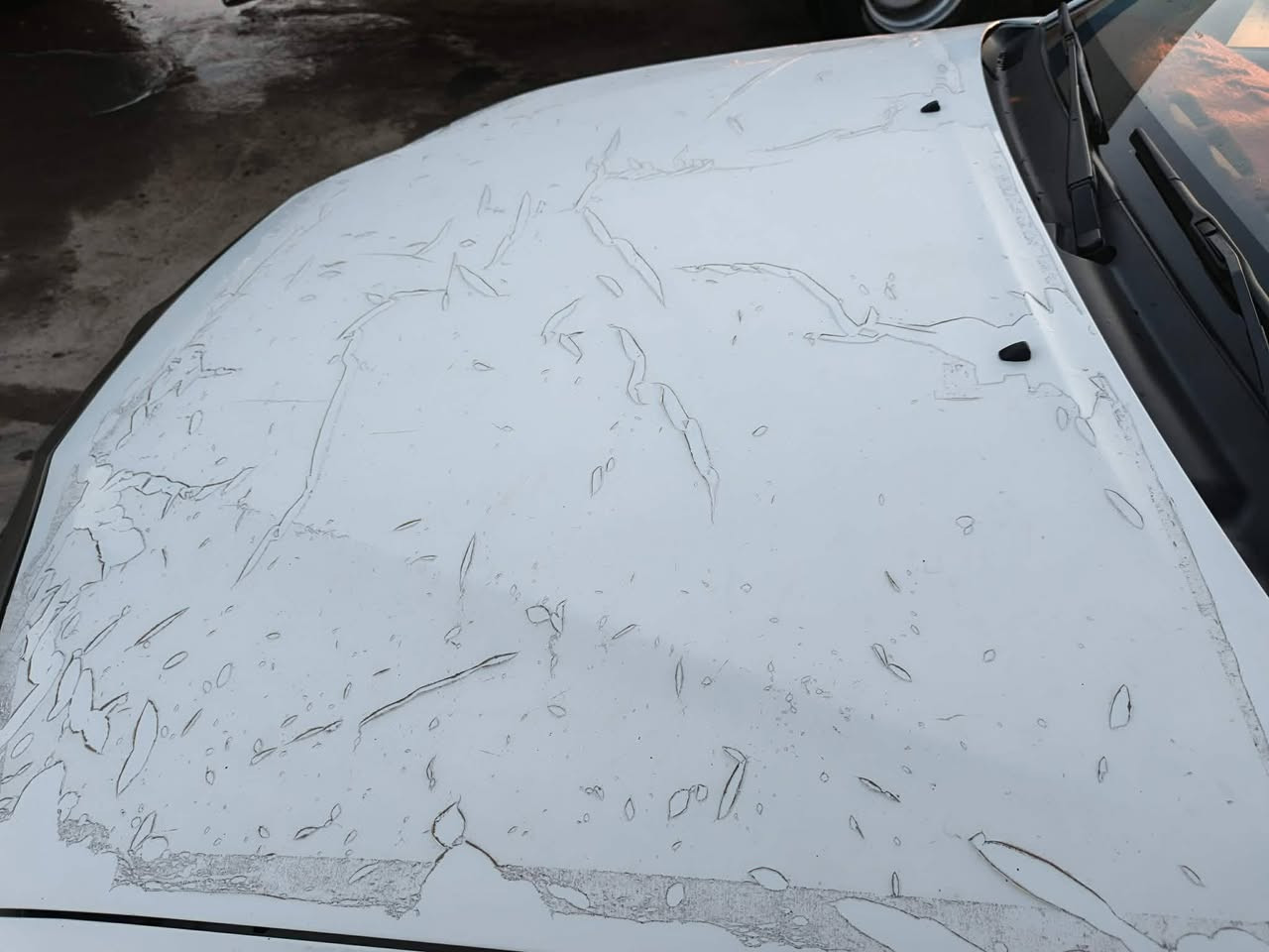 سلام عليكم...هايلوكس 14...اوتوماتيك كفاله عامه رقم بابل .......مكان السياره بابل انيل باقي التفاصيل الاتصال ***********
