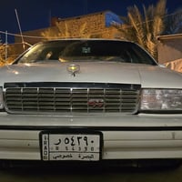 دولفين بروكهام • بصرة • الديوانية