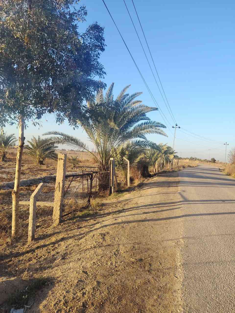 السلام عليكم
للبيع ارض زراعية مساحة ٣ دونم مسيجة بشبك على شارع تبليط 
يتوفر بيهة كل الخدمات ماء كهرباء بيهة  تحتوي علئ ٤٠ نخلة  نوعية جيدة تبعد عن مركز ال بوزامل الصحي ١٠٠ متر
المكان ذي قار قضاء النصر قرية ال بوزامل
للاستفسار الاتصال على الرقم ***********
