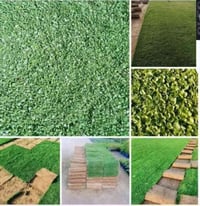 #الخبرة  في زراعة الثيل الطبيعي زبائننا الكرام  متوفر كافة انواع الثيل...